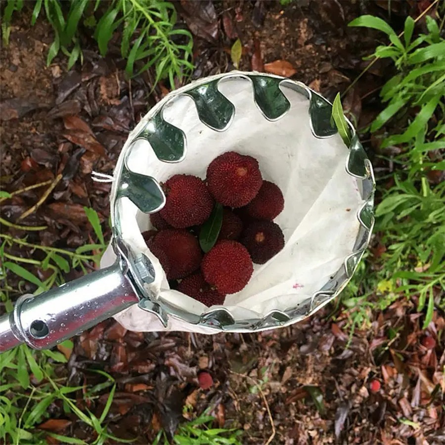 Gardening Tools Equipment - 3-in-1 Fruit Harvesting Tool Set for