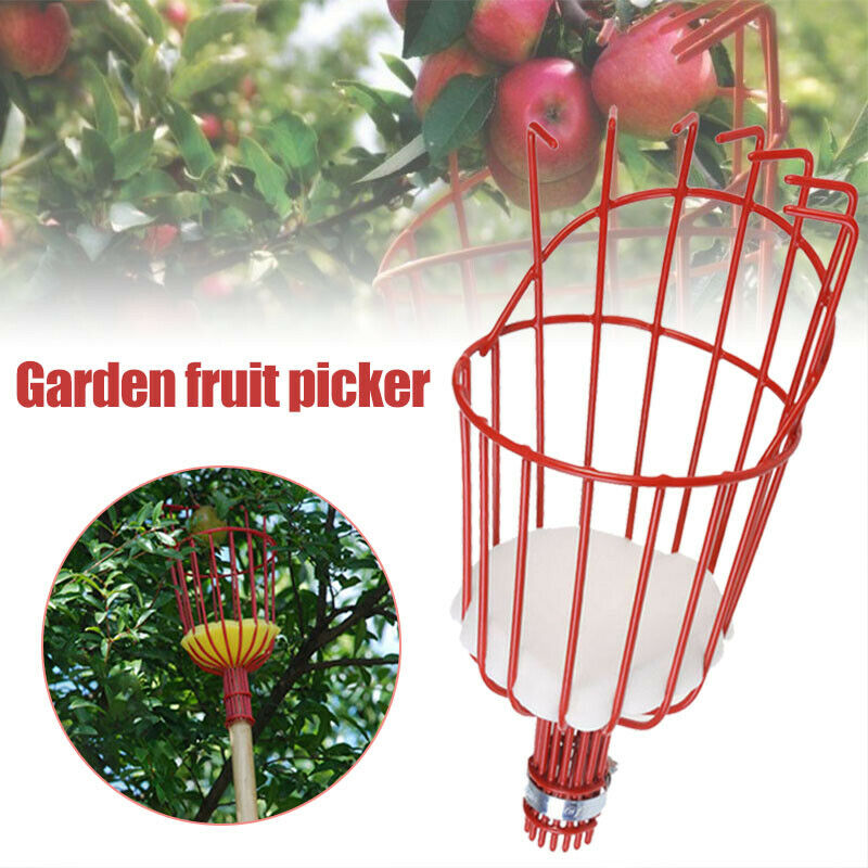 Fruit Picking Machine Fruit Co - Gardening Tools Equipment のレビューと価格