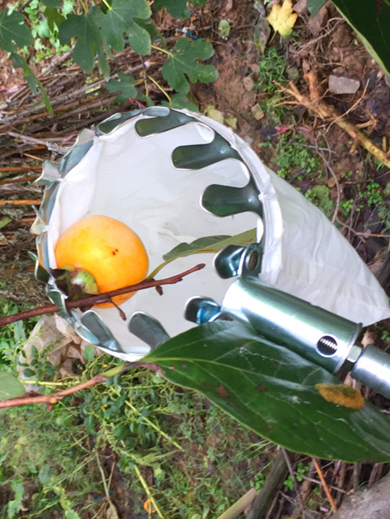 Fruit Picking Machine Fruit Co - Gardening Tools Equipment のレビューと価格