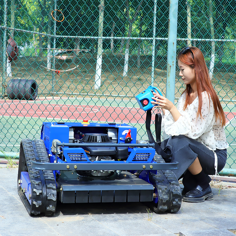Customized High Power Remote C - Gardening Tools Lawn Mower のレビューと価格