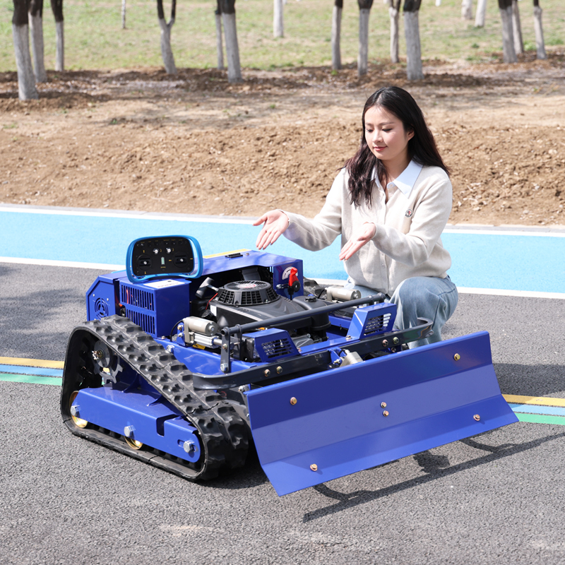 Customized Cordless Electric L - Gardening Tools Lawn Mower のレビューと価格