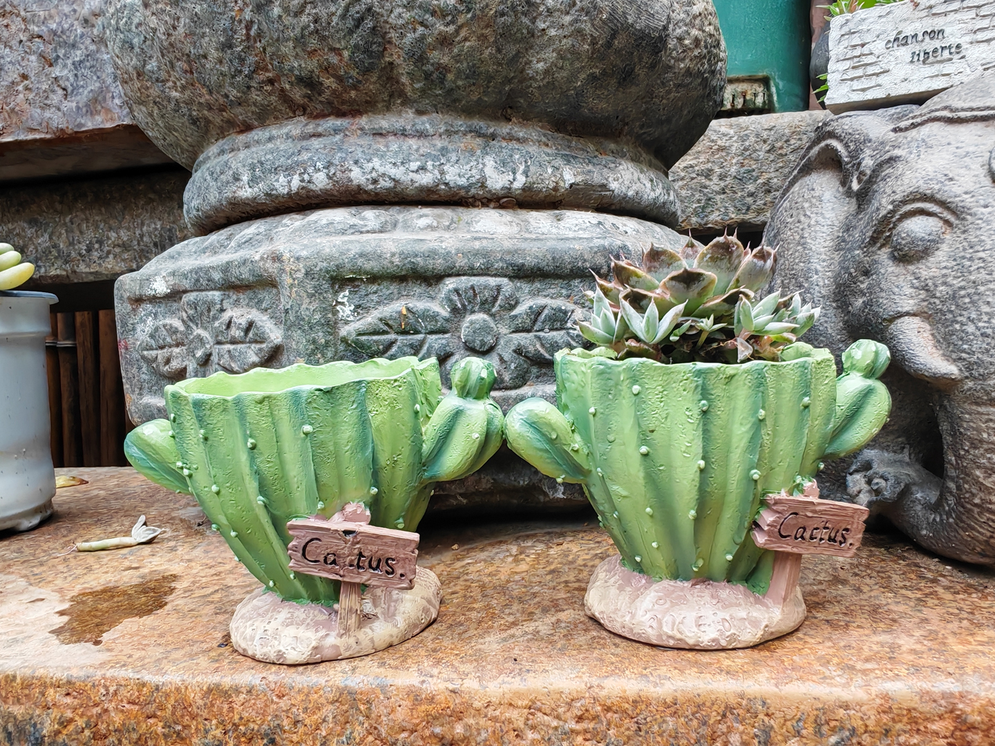 Cactus Flower Planter Pot Cute - Gardening Tools Cute のレビューと価格