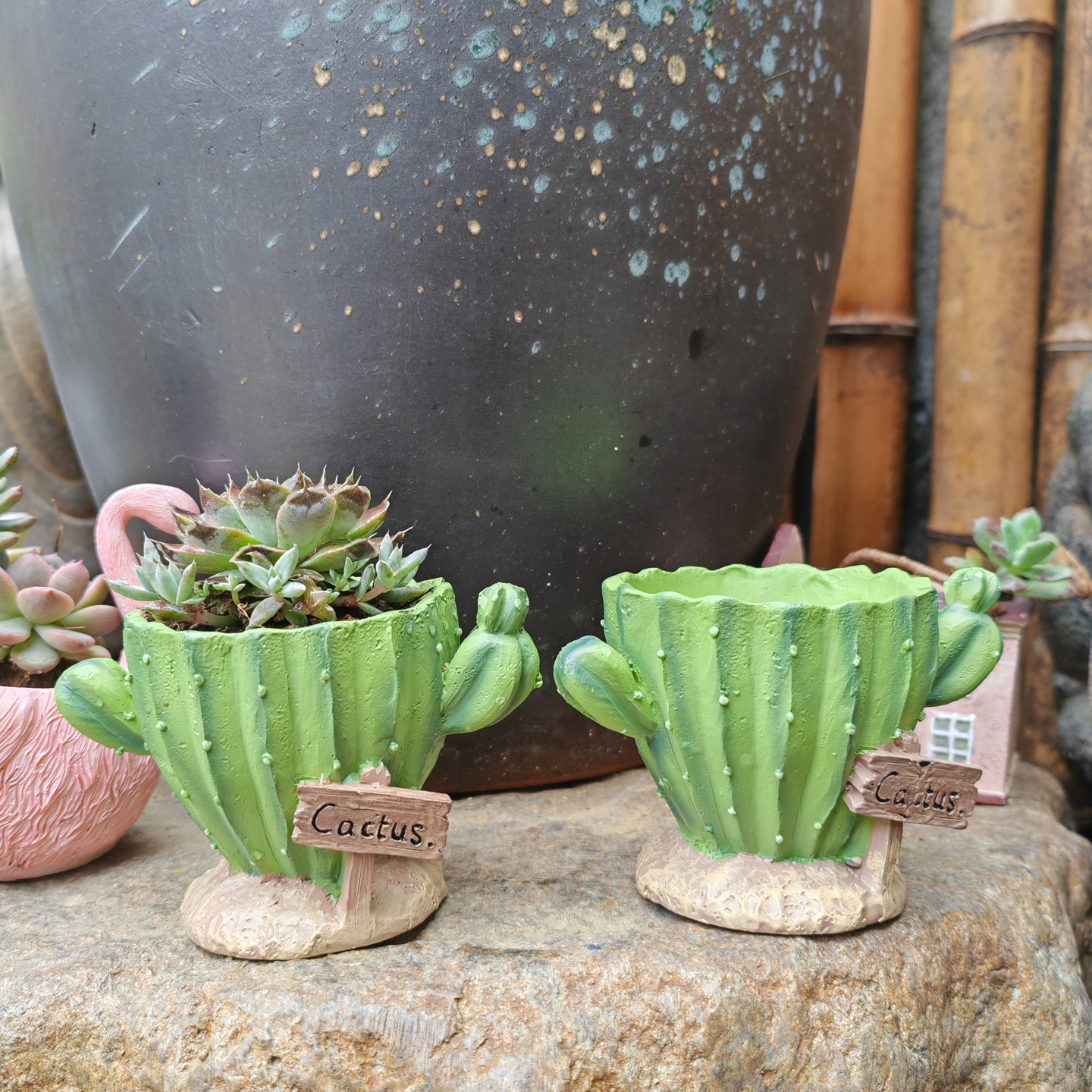 Cactus Flower Planter Pot Cute - Gardening Tools Cute のレビューと価格