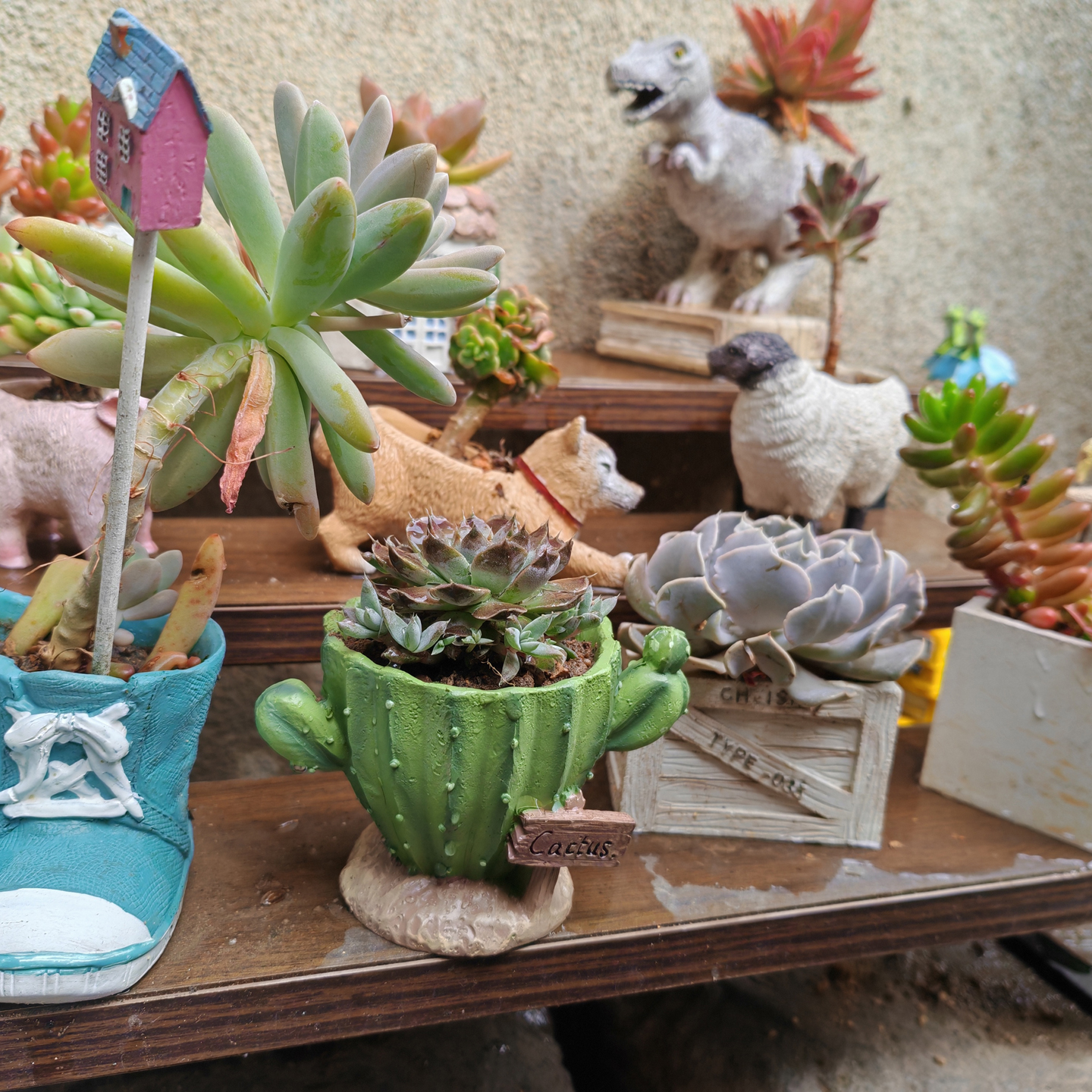 Cactus Flower Planter Pot Cute - Gardening Tools Cute のレビューと価格