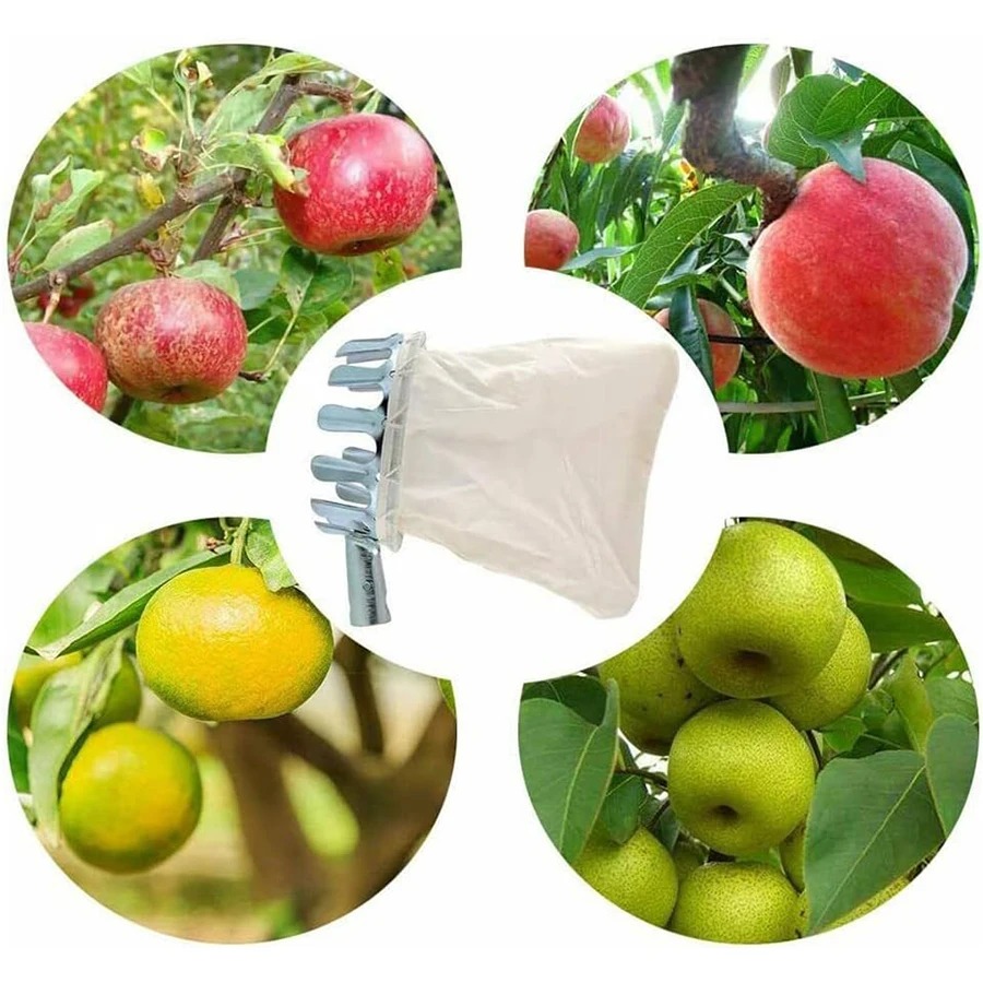 3-in-1 Fruit Harvesting Tool S - Gardening Tools Equipment のレビューと価格