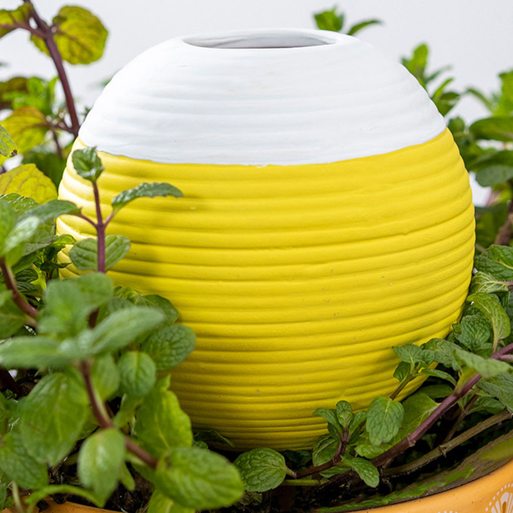Ceramics Automatic Plant Water - Gardening Tools Must Haves のレビューと価格