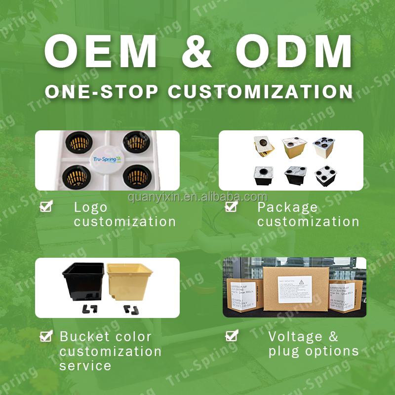 Dutch Bucket Hydroponic System - Hydroponic System のレビューと価格