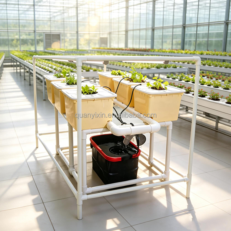 Dutch Bucket Hydroponic System - Hydroponic System のレビューと価格