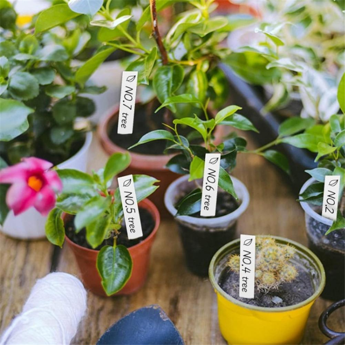 【Must-haves】Gardening tool - Gardening Tools Must Haves のレビューと価格