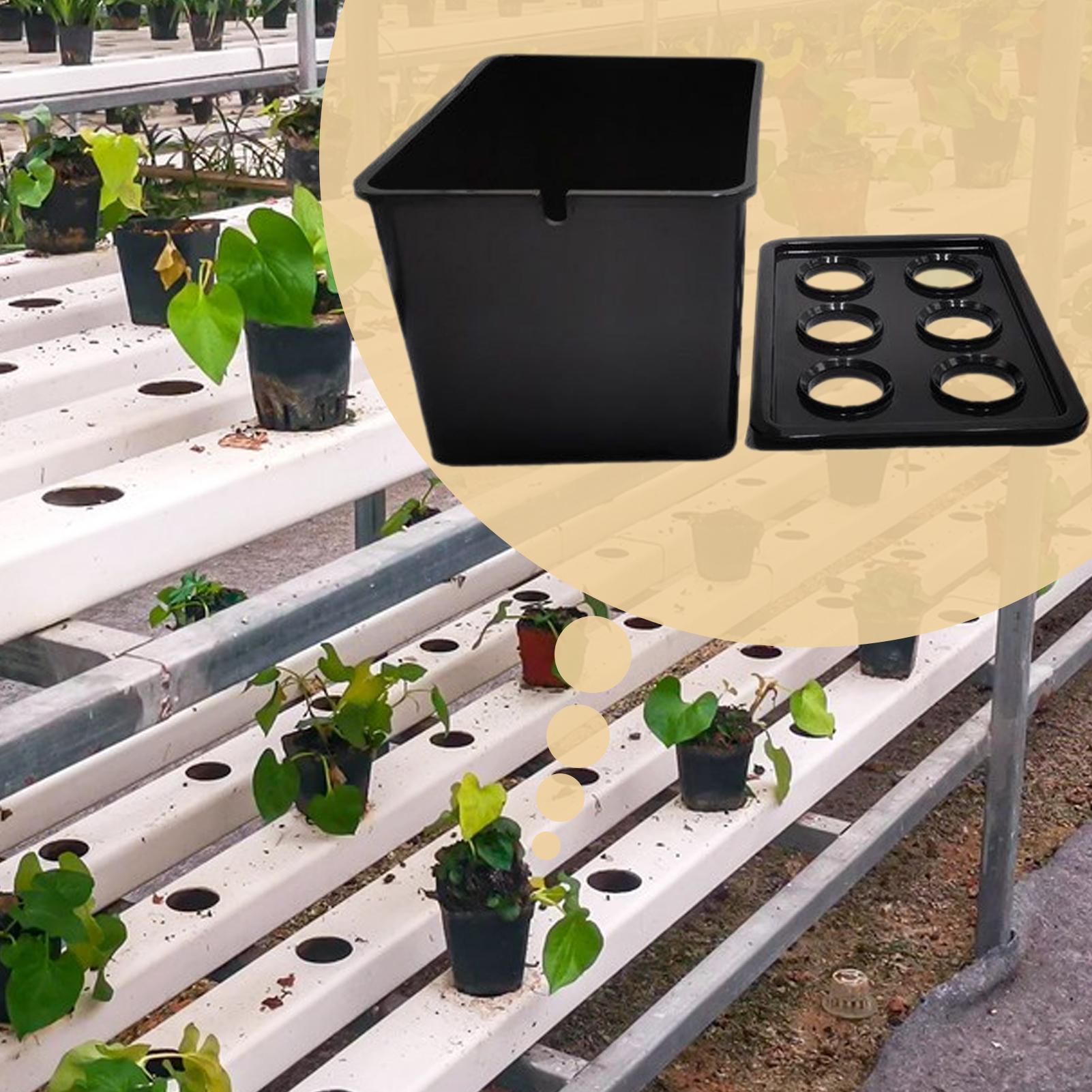 Hydroponic Planting Kit Beginn - Hydroponic System のレビューと価格
