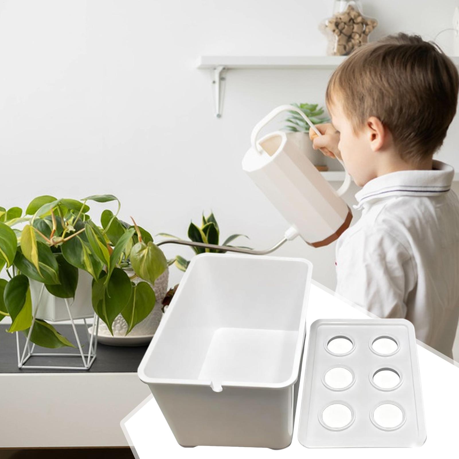 Hydroponic Planting Kit Beginn - Hydroponic System のレビューと価格