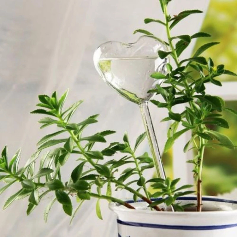 House/Garden Water Houseplant  - Gardening Tools Equipment のレビューと価格