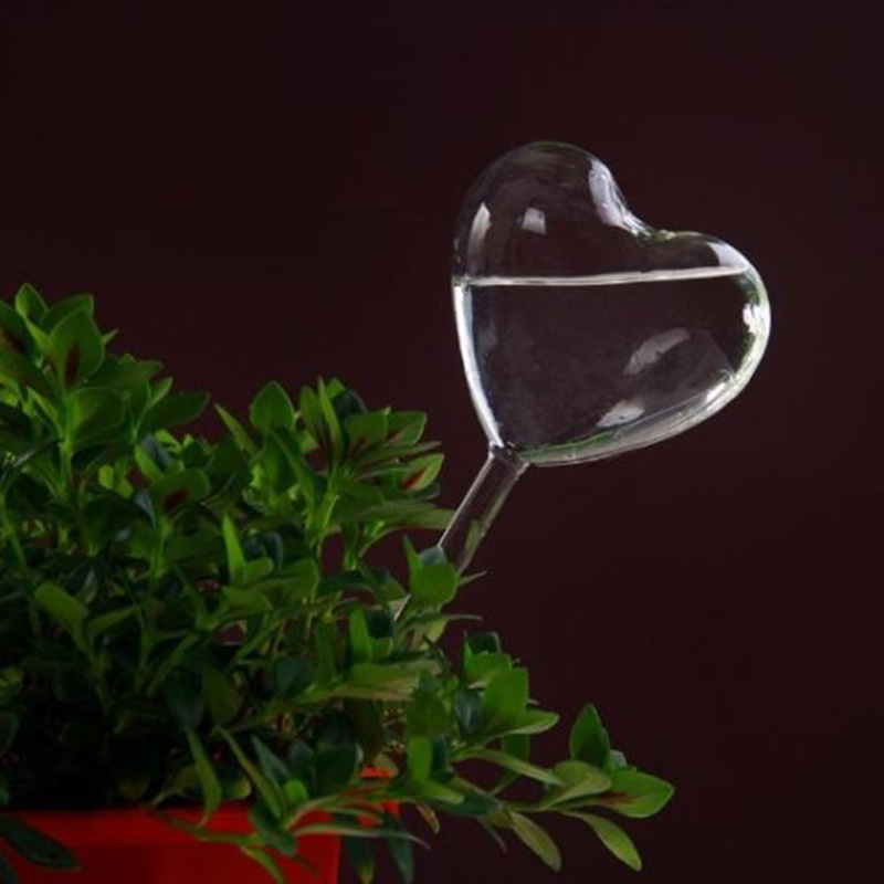 House/Garden Water Houseplant  - Gardening Tools Equipment のレビューと価格