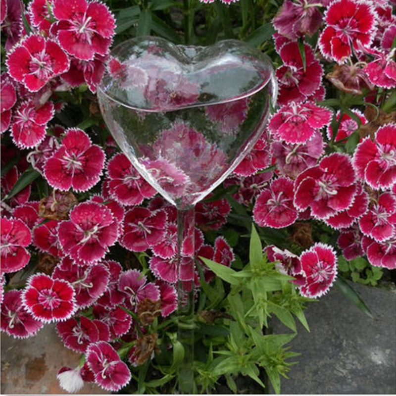 House/Garden Water Houseplant  - Gardening Tools Equipment のレビューと価格