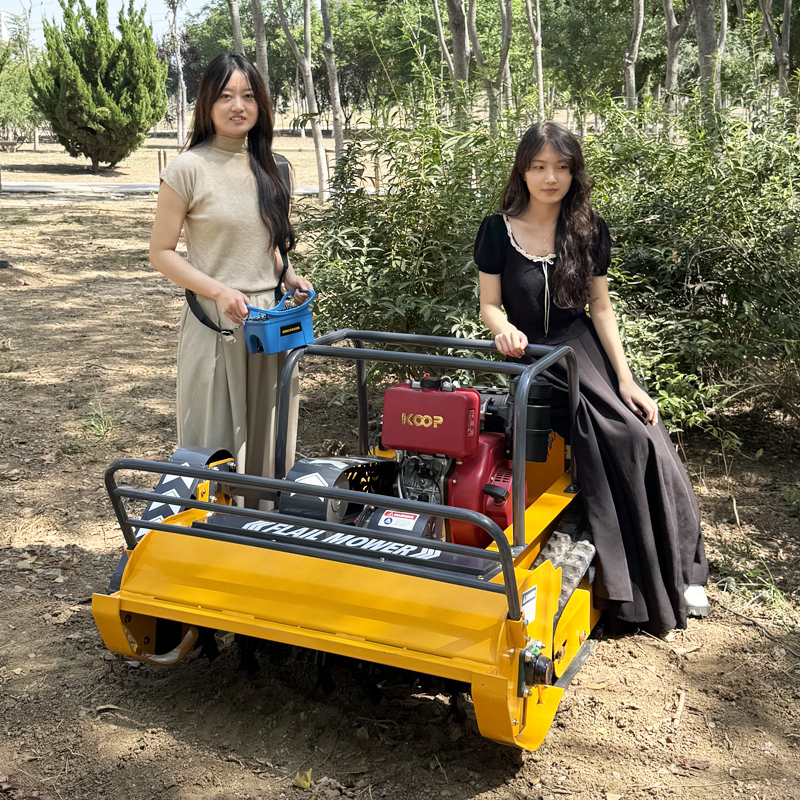 Customized Multifunctional Rem - Gardening Tools Lawn Mower のレビューと価格