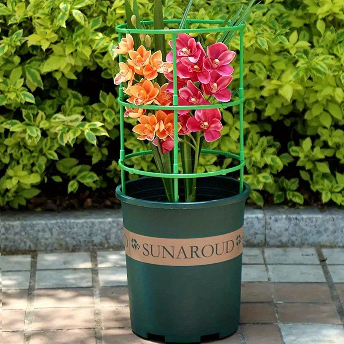 1pc Plant Climbing Frame, Balc - Gardening Tools Equipment のレビューと価格
