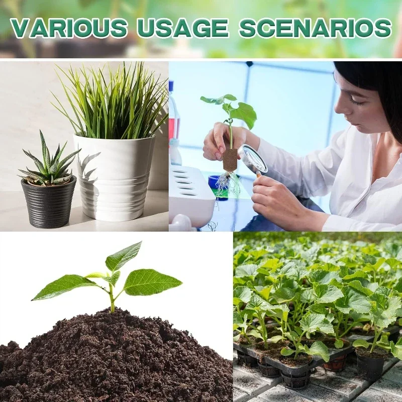 Seedling Starter Sponge Kit fo - Hydroponic System のレビューと価格