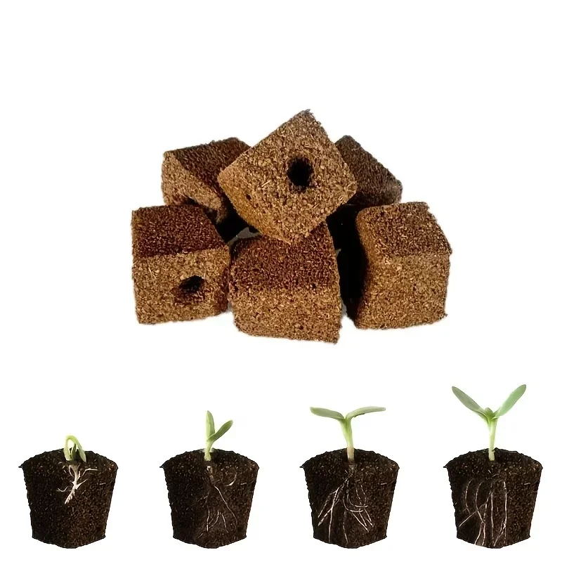 Seedling Starter Sponge Kit fo - Hydroponic System のレビューと価格