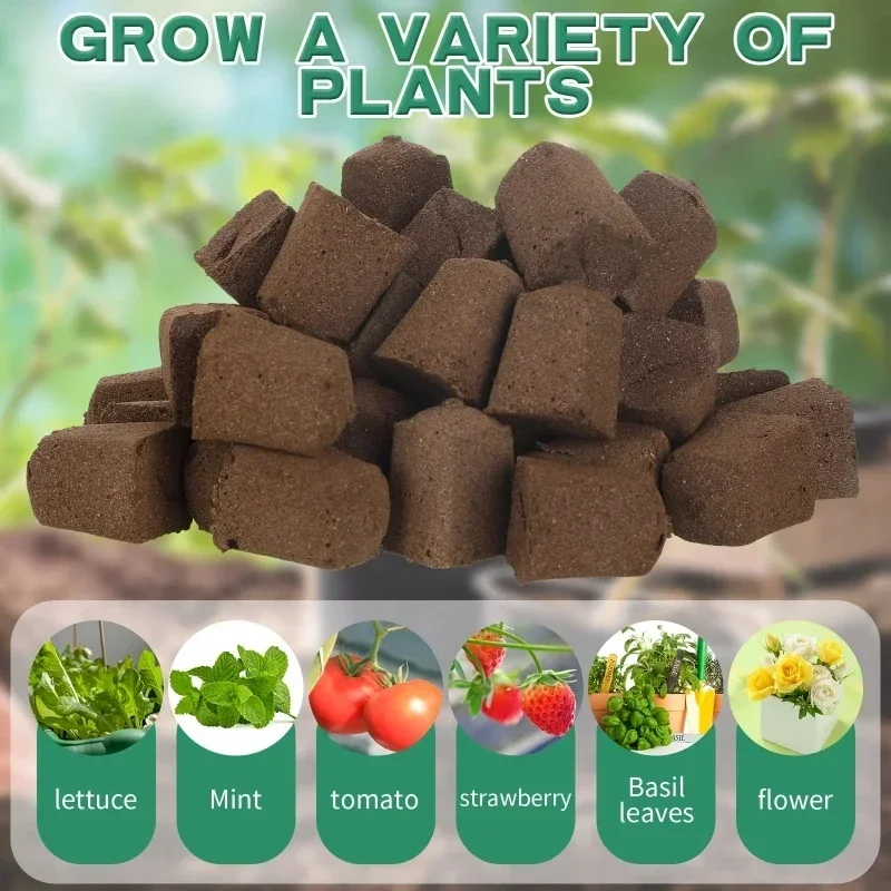 Seedling Starter Sponge Kit fo - Hydroponic System のレビューと価格