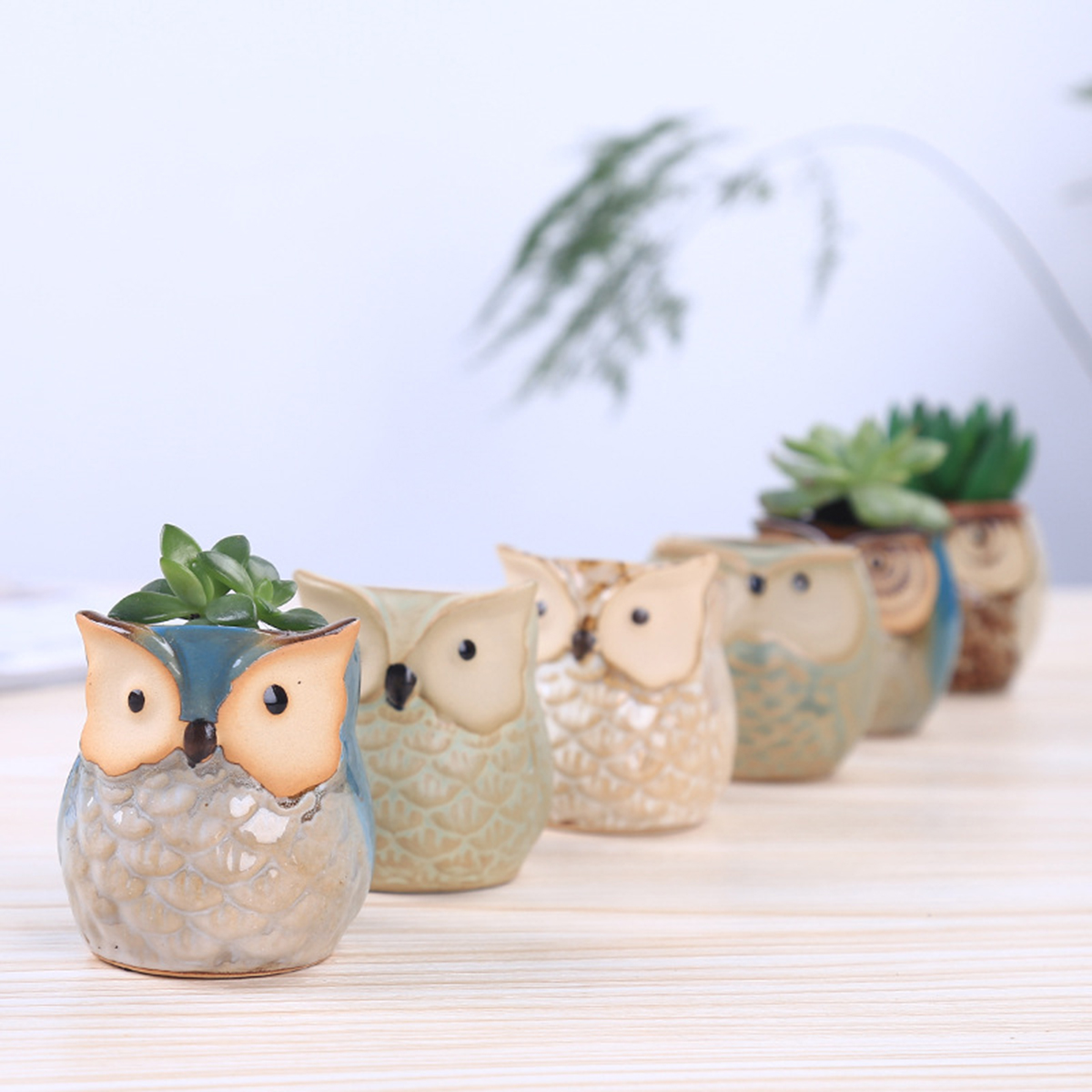 Home Garden Supplies Decoratio - Gardening Tools Cute のレビューと価格