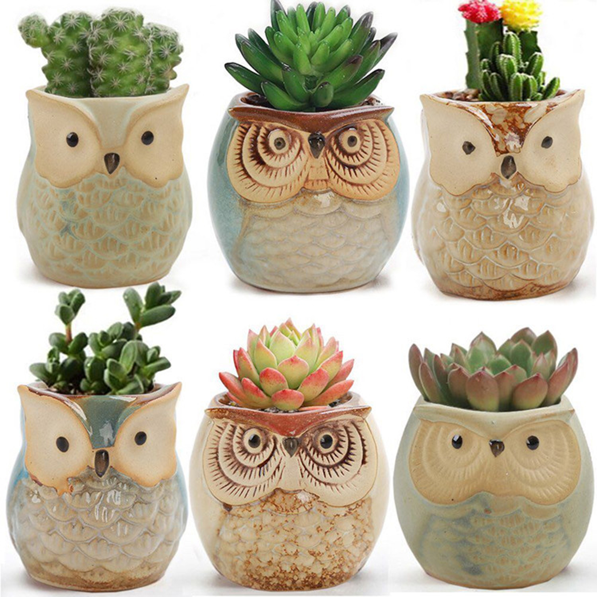Home Garden Supplies Decoratio - Gardening Tools Cute のレビューと価格