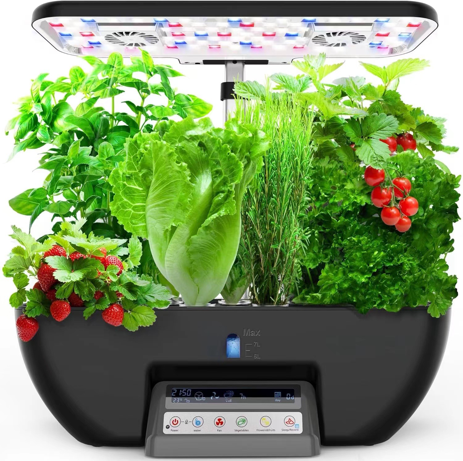 Multi-function Planting System - Hydroponic System のレビューと価格