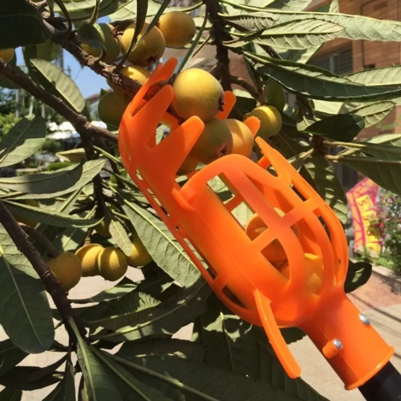 High Branch Fruit Picker Multi - Gardening Tools Equipment のレビューと価格