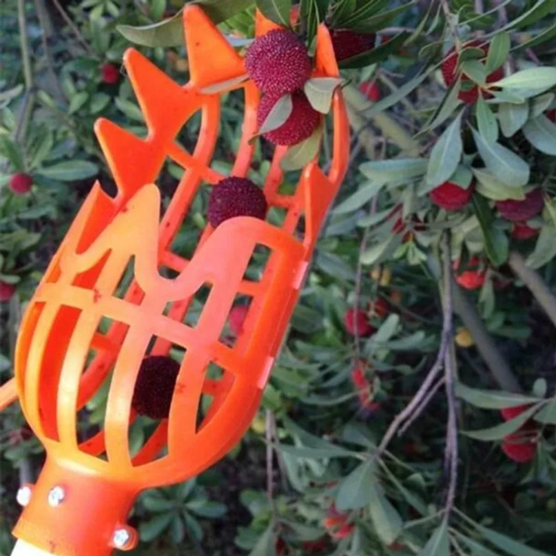 High Branch Fruit Picker Multi - Gardening Tools Equipment のレビューと価格