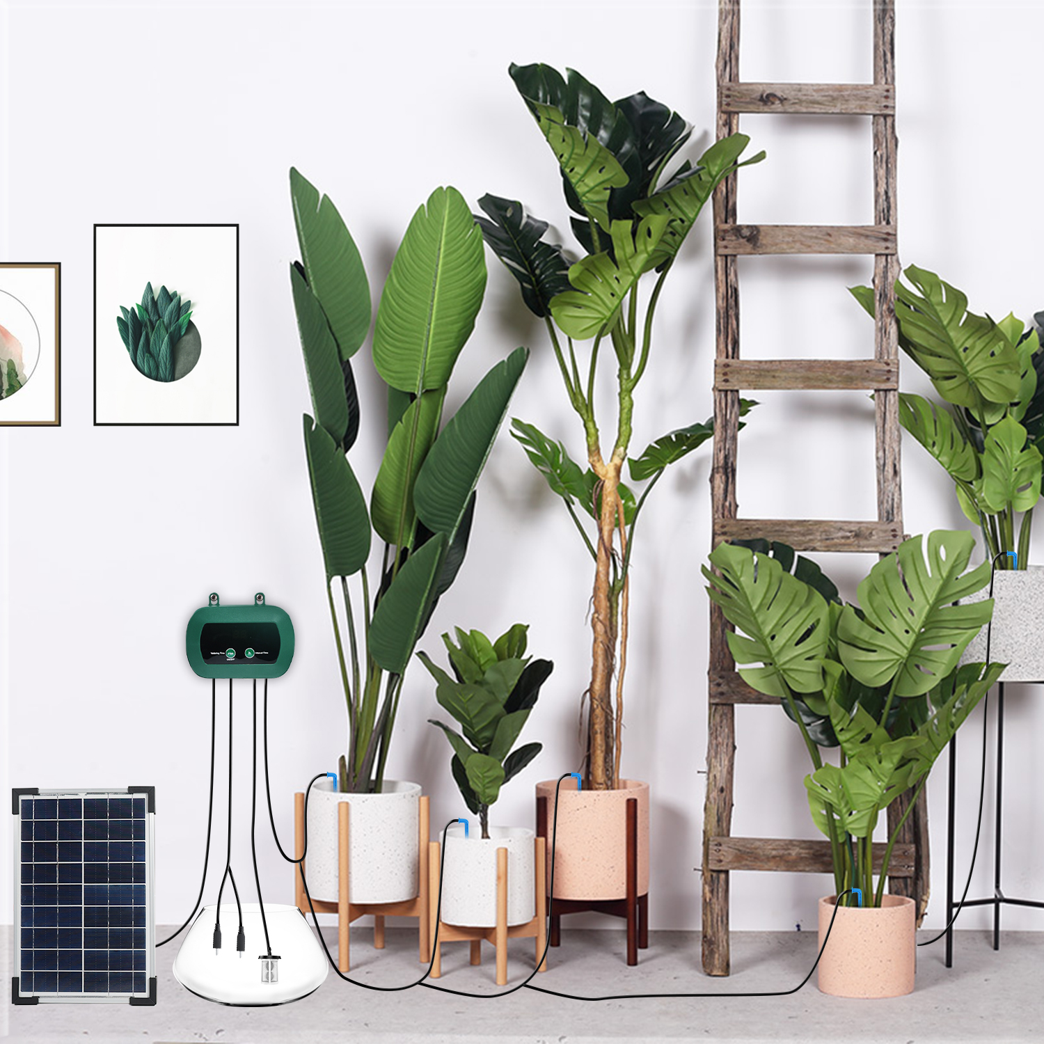 Solar Hydroponics Equipment  M - Hydroponic System のレビューと価格