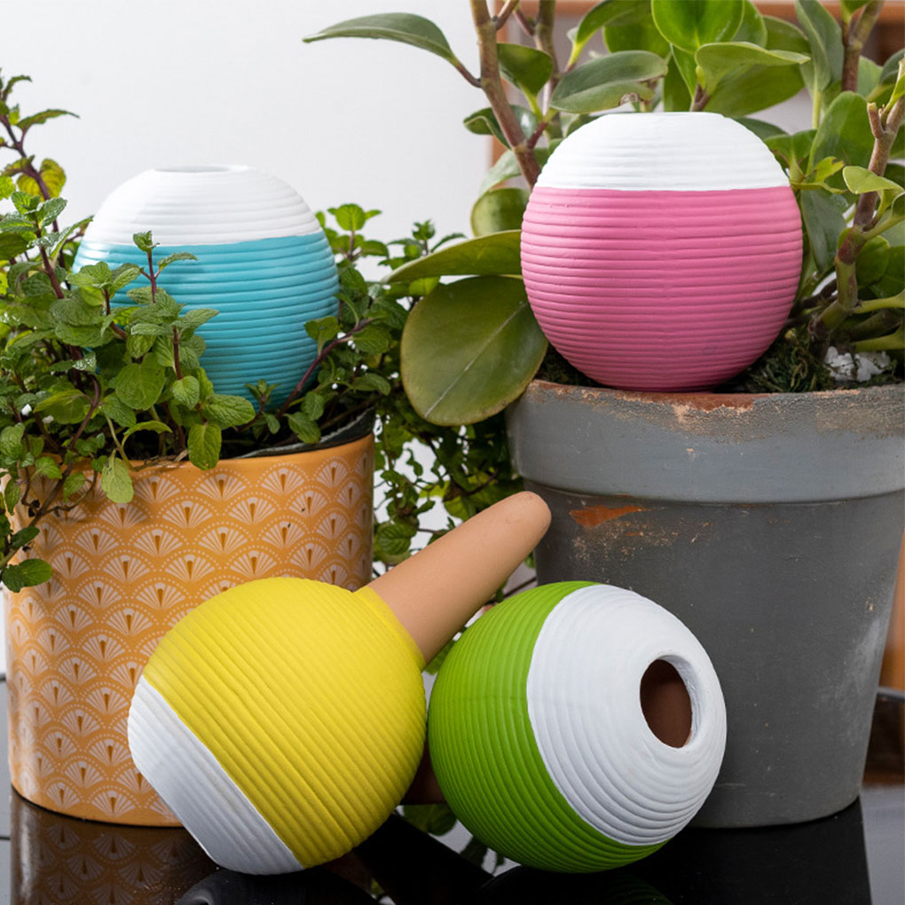 Automatic Plant Watering Tool  - Gardening Tools Must Haves のレビューと価格