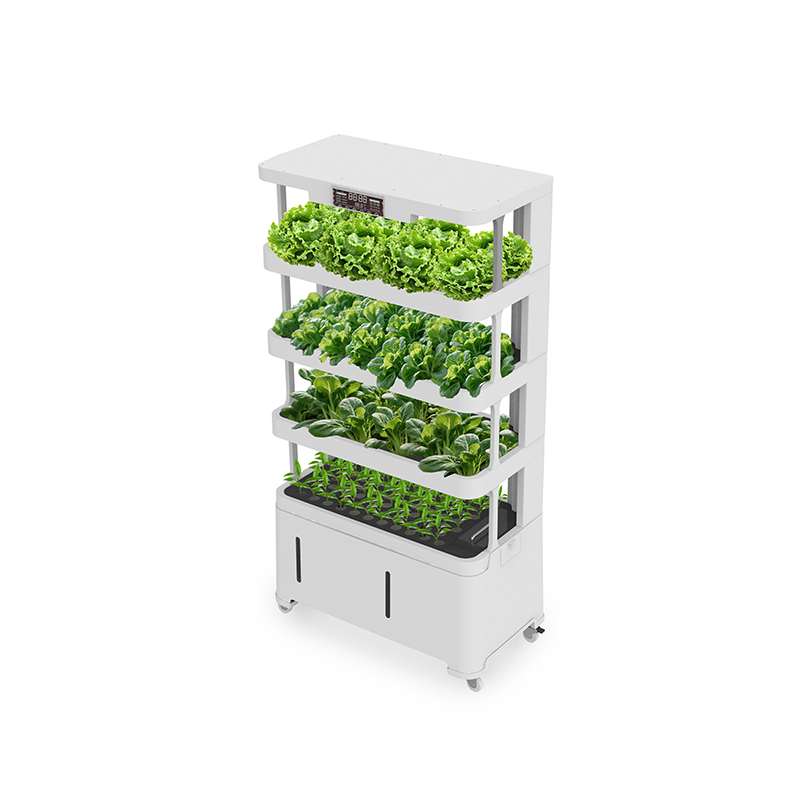 High-Tech Intelligent Hydropon - Hydroponic System のレビューと価格
