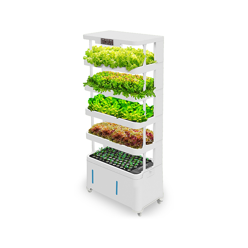 High-Tech Intelligent Hydropon - Hydroponic System のレビューと価格