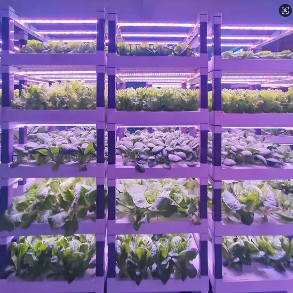 Hydroponic Grow System Greenho - Hydroponic System のレビューと価格