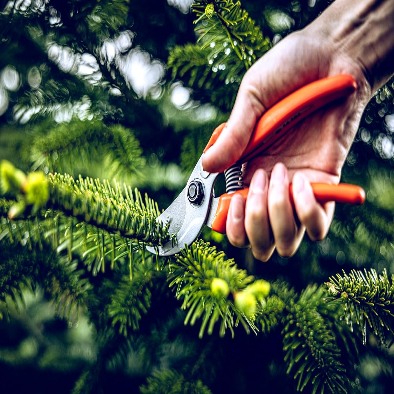 Versatile, Durable, and Precis - Gardening Tools Must Haves のレビューと価格