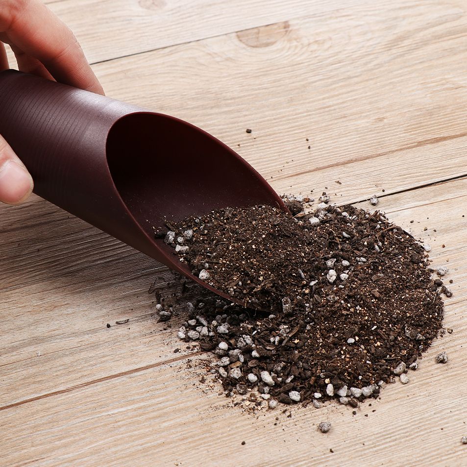 1PC Plastic Soil Shovel Cup Fo - Gardening Tools Equipment のレビューと価格